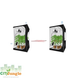 Secret Jardin - Grow box - Dark Street DS120W 4.0